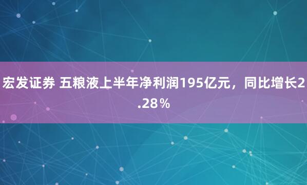 宏发证券 五粮液上半年净利润195亿元，同比增长2.28％