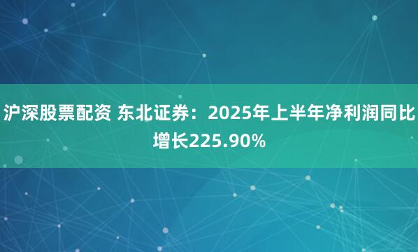 沪深股票配资 东北证券：2025年上半年净利润同比增长225.90%