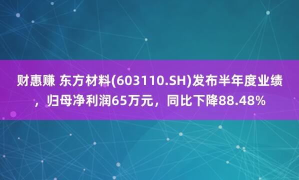 财惠赚 东方材料(603110.SH)发布半年度业绩，归母净利润65万元，同比下降88.48%