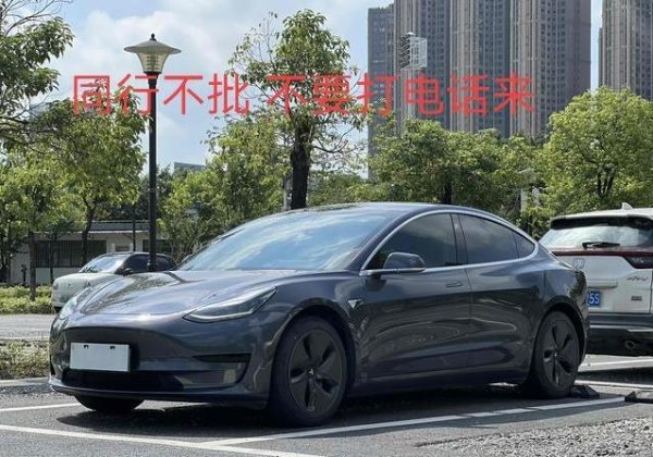 策略股 11万买特斯拉Model 3，省油又拉风，真值？